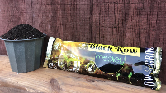 Black Kow Singles
